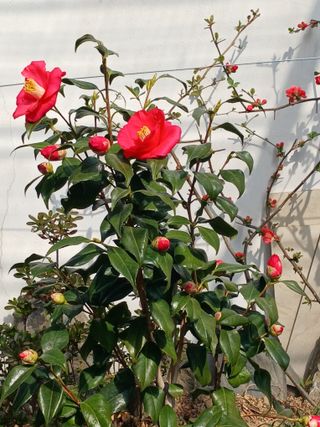 이영자 님의 자유주제 · 자유게시판 작성글 사진