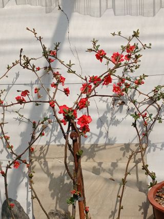 이영자 님의 자유주제 · 자유게시판 작성글 사진