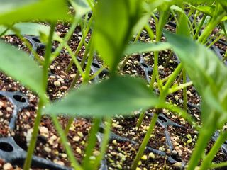 김영진(전남영광)님의 자유주제 · 자유게시판 작성글 사진