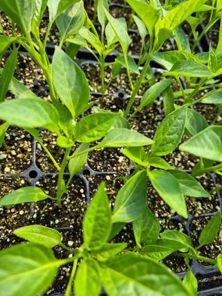 김영진(전남영광)님의 자유주제 · 자유게시판 작성글 사진