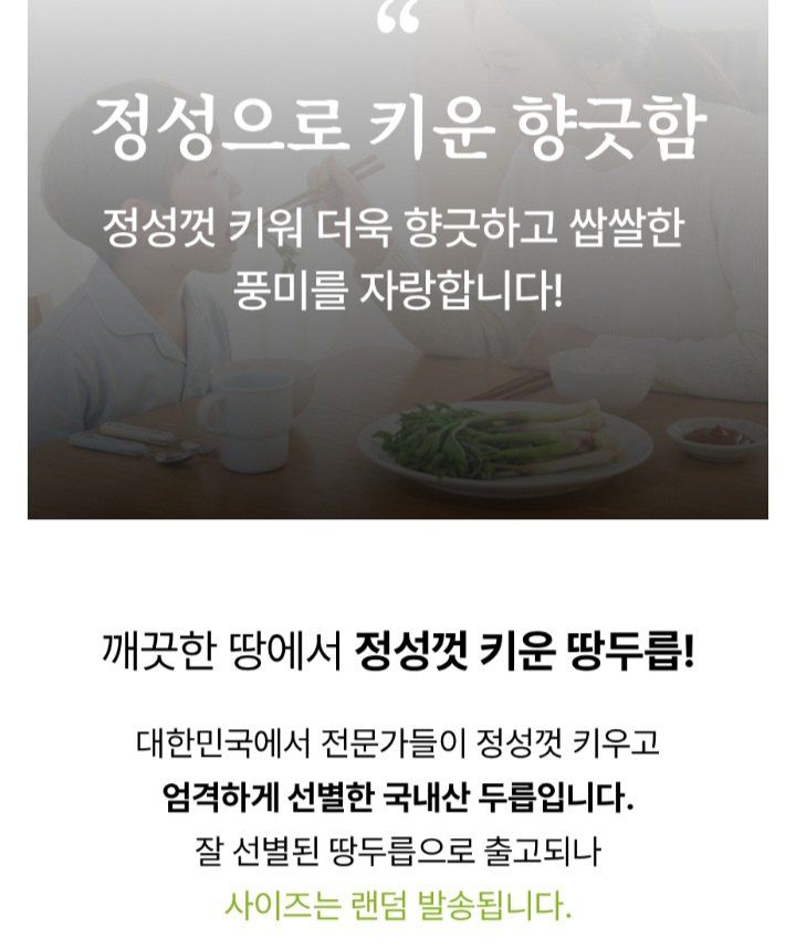 자두14488님의 장터 판매 상품 [땅드릅나물 봄나물 생두릅] 첨부 사진