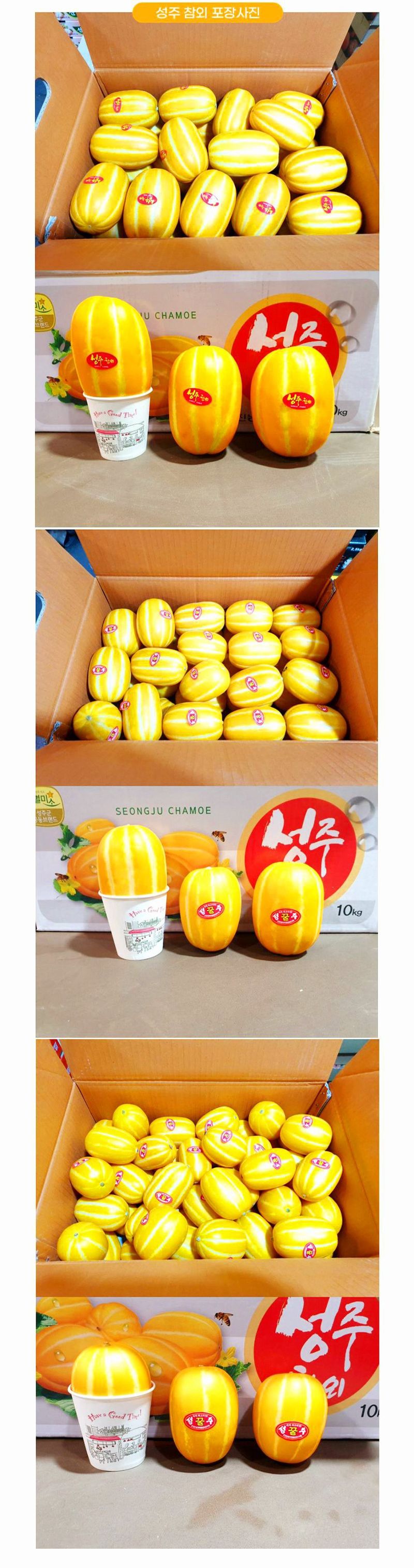 자두14488님의 장터 판매 상품 [고당도 성주 꿀참외 가정용 10kg] 첨부 사진