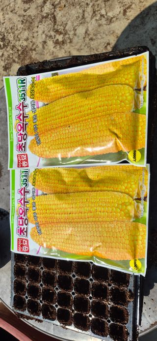 음두임님의 자유주제 · 자유게시판 작성글 사진