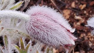 이정운님의 자유주제·자유게시판 작성글 사진