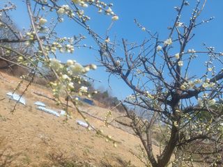 재연농장님의 자유주제 · 자유게시판 작성글 사진