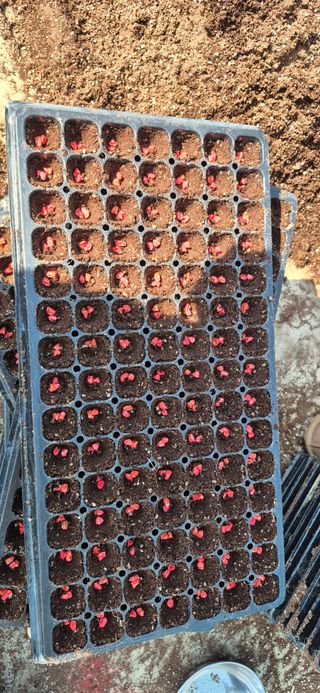 음두임님의 자유주제 · 자유게시판 작성글 사진