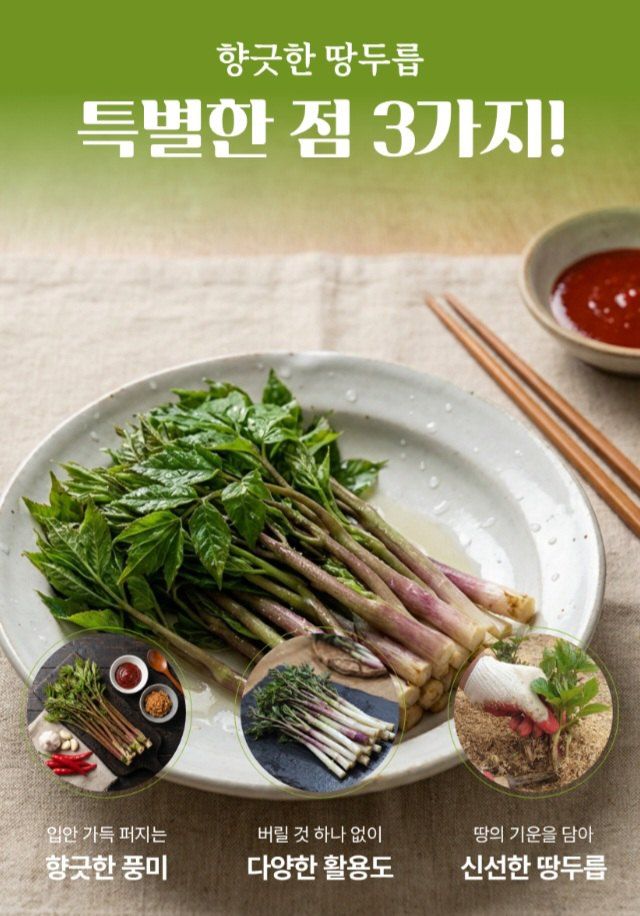 자두14488님의 장터 판매 상품 [땅드릅나물 봄나물 생두릅] 첨부 사진