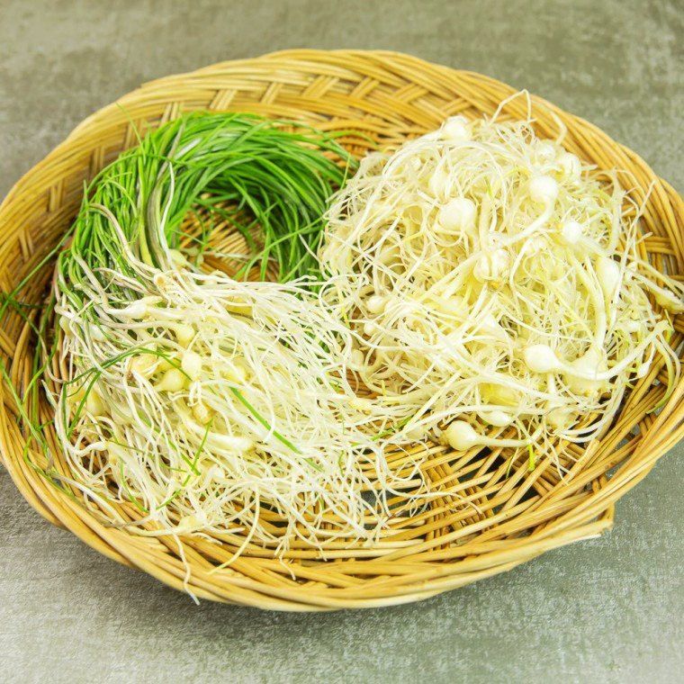 장터 상품 [입맛을 돋아두는 알싸한 맛 노지세척 달래] 썸네일