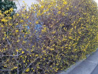 하나라도 소중하게님의 자유주제 · 자유게시판 작성글 사진