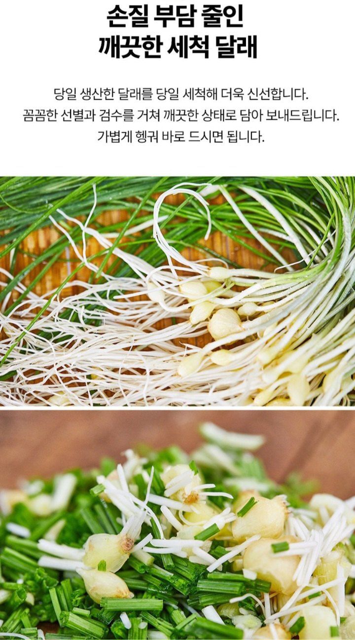 자두14488님의 장터 판매 상품 [입맛을 돋아두는 알싸한 맛 노지세척 달래] 첨부 사진