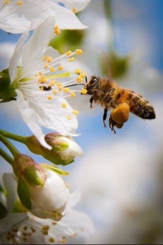 MSG0074님의 자유주제 · 자유게시판 작성글 사진