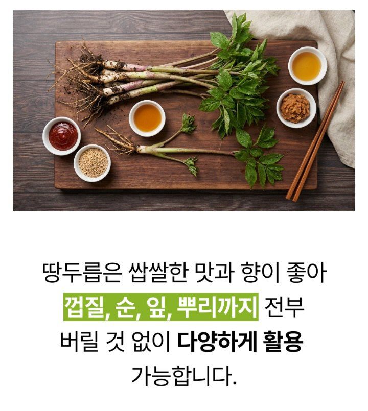 자두14488님의 장터 판매 상품 [땅드릅나물 봄나물 생두릅] 첨부 사진