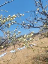 팜모닝 자유주제·자유게시판 게시글 이미지