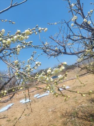 재연농장님의 자유주제·자유게시판 작성글 사진