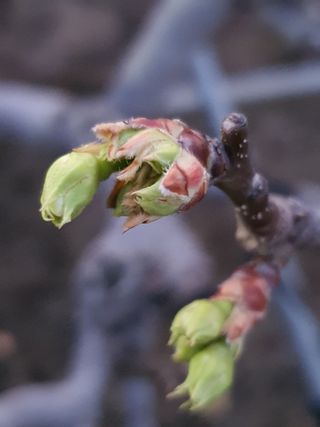 하나라도 소중하게님의 배 · 일상 작성글 사진
