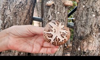 헤라여신^^♡님의 자유주제 · 자유게시판 작성글 사진