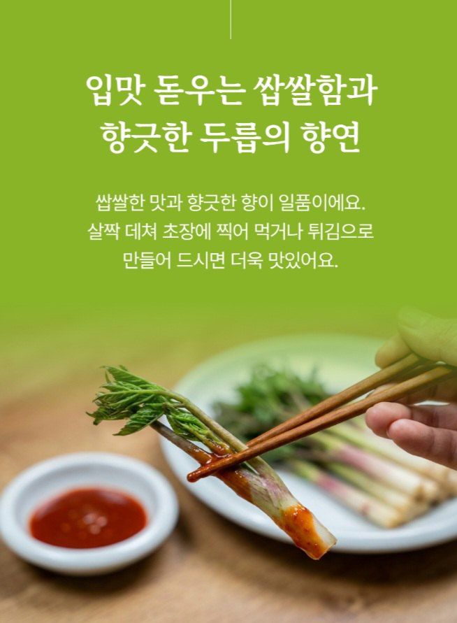 자두14488님의 장터 판매 상품 [땅드릅나물 봄나물 생두릅] 첨부 사진