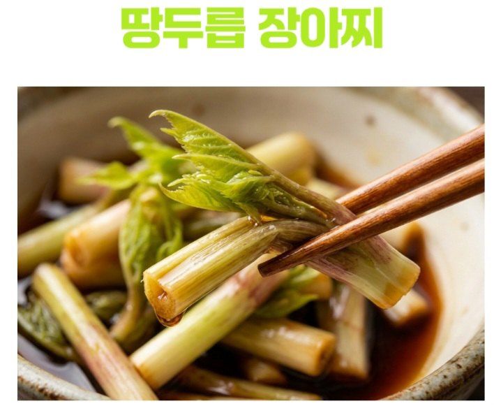 자두14488님의 장터 판매 상품 [땅드릅나물 봄나물 생두릅] 첨부 사진