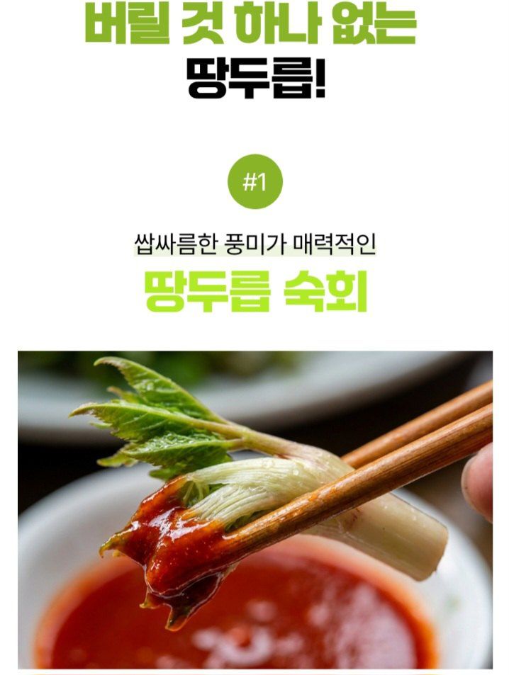 자두14488님의 장터 판매 상품 [땅드릅나물 봄나물 생두릅] 첨부 사진