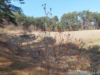 황대헌님의 자유주제 · 자유게시판 작성글 사진