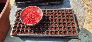 음두임님의 자유주제 · 자유게시판 작성글 사진