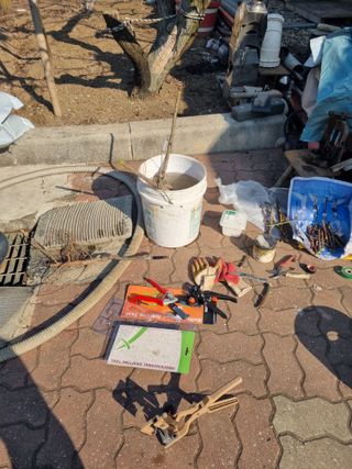 김용대님의 자유주제 · 자유게시판 작성글 사진