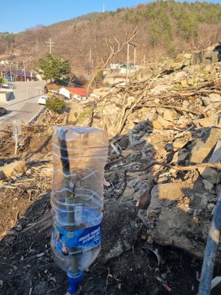 김용대님의 자유주제 · 자유게시판 작성글 사진