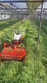 모포리흰개 님의 자유주제·자유게시판 작성글 사진