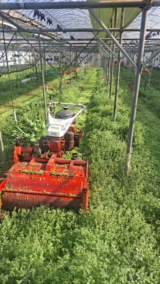 모포리흰개 님의 자유주제 · 자유게시판 작성글 사진