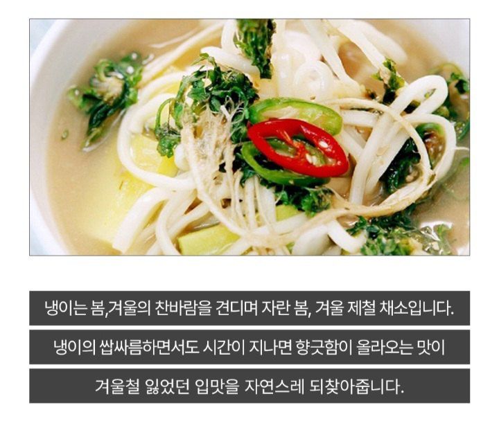 자두14488님의 장터 판매 상품 [노지 냉이 1차세척 300g 500g 1kg] 첨부 사진