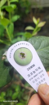 팜모닝 자유주제·자유게시판 게시글 이미지