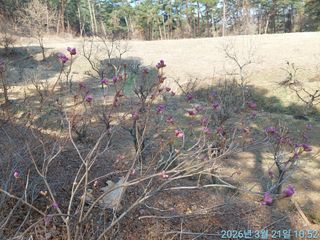 황대헌님의 자유주제 · 자유게시판 작성글 사진