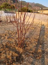 팜모닝 자유주제·자유게시판 게시글 이미지