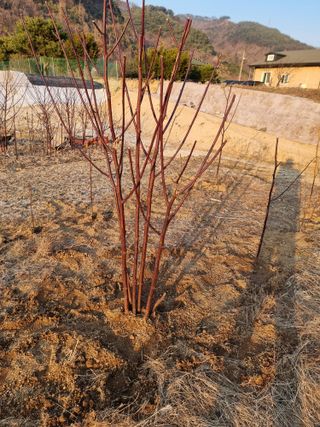 조경준님의 자유주제 · 자유게시판 작성글 사진