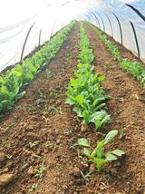 윤형곤님의 자유주제·자유게시판 작성글 사진