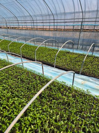 김영진(전남영광)님의 자유주제 · 자유게시판 작성글 사진