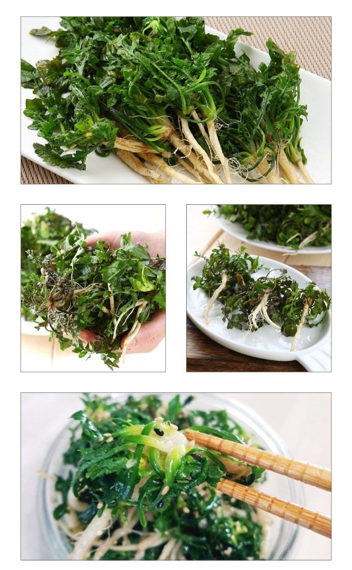 자두14488님의 장터 판매 상품 [노지 냉이 1차세척 300g 500g 1kg] 첨부 사진