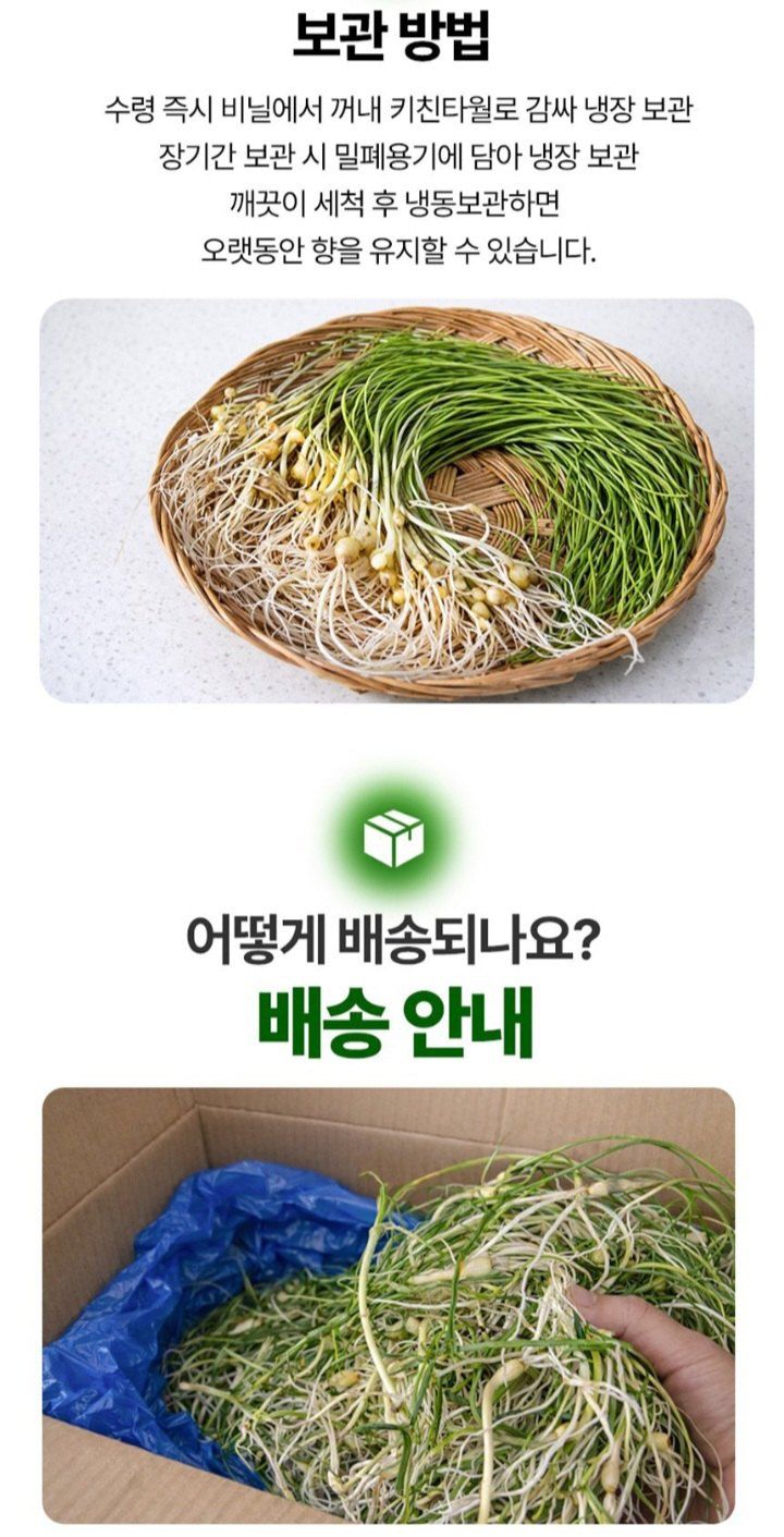 자두14488님의 장터 판매 상품 [입맛을 돋아두는 알싸한 맛 노지세척 달래] 첨부 사진