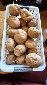 팜모닝 자유주제·자유게시판 게시글 이미지