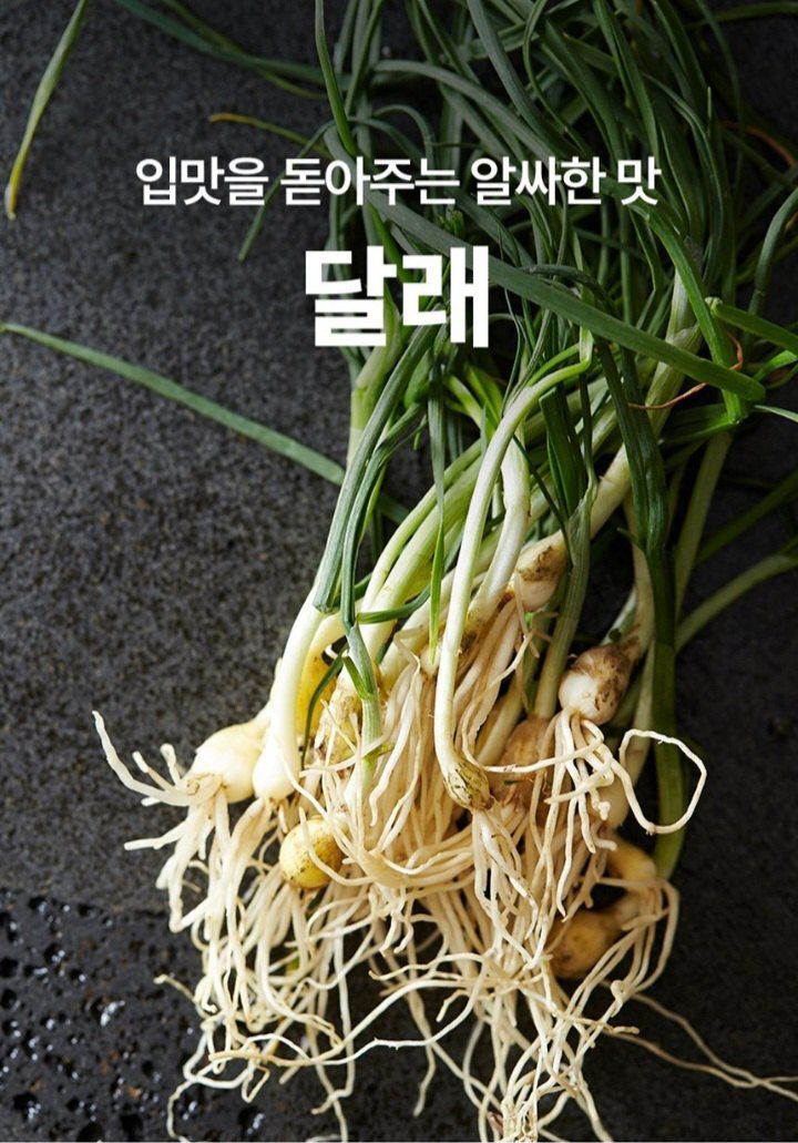 자두14488님의 장터 판매 상품 [입맛을 돋아두는 알싸한 맛 노지세척 달래] 첨부 사진