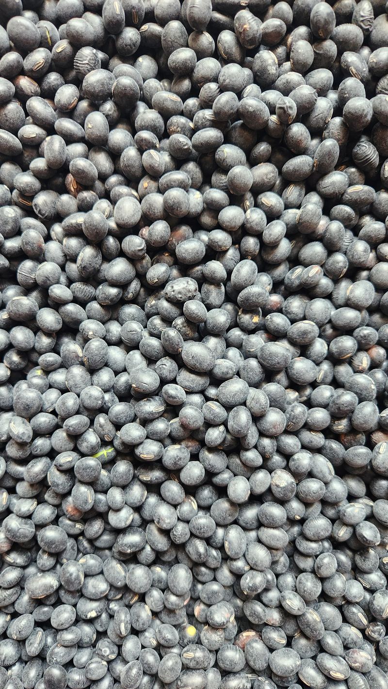 장터 상품 [서리태청자5호] 썸네일