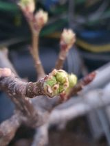 팜모닝 배·일상 게시글 이미지