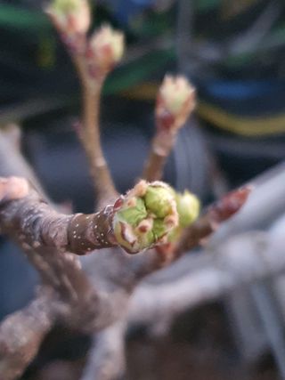 하나라도 소중하게님의 배·일상 작성글 사진