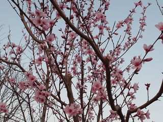 하나라도 소중하게님의 자유주제 · 자유게시판 작성글 사진