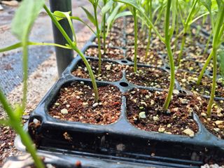 김영진(전남영광)님의 자유주제 · 자유게시판 작성글 사진