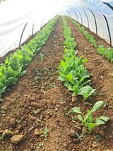 윤형곤님의 자유주제·자유게시판 작성글 사진