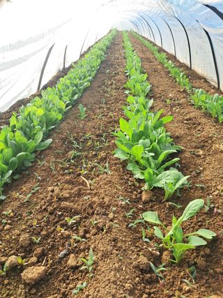 윤형곤님의 자유주제 · 자유게시판 작성글 사진