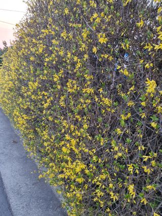 하나라도 소중하게님의 자유주제 · 자유게시판 작성글 사진