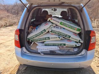 MSG0074님의 자유주제 · 자유게시판 작성글 사진