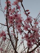 팜모닝 자유주제·자유게시판 게시글 이미지